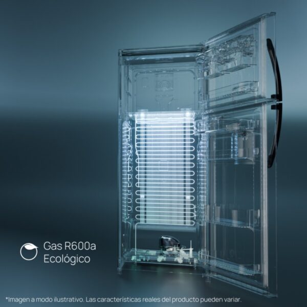HELADERA DREAN RDA-300FBRT NF 2P C/FREEZER 300LT EP - Image 3
